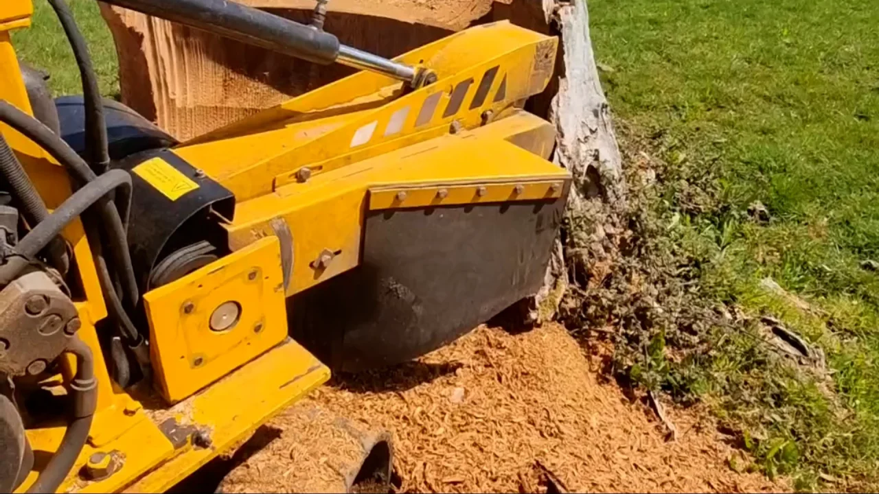 Struggling With An Old Tree Stump? Professional Grinding Provides The Solution