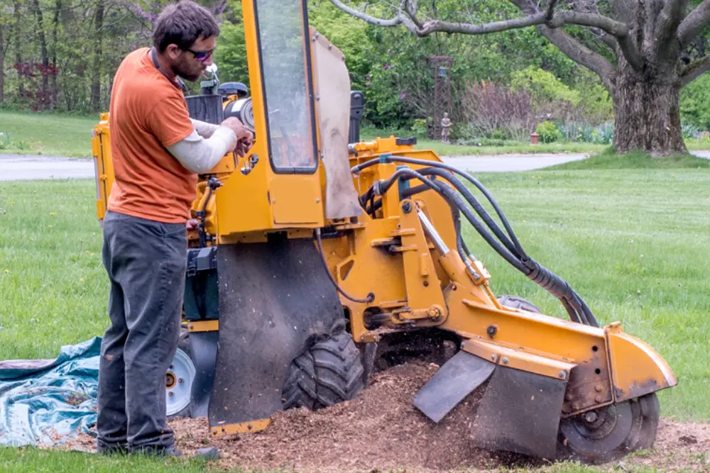 Stump Grinding Stockport
